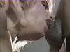 deep throat