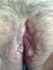 muschi natur muschi natur
