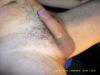 penis 14