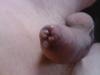 pure lust pure lust