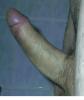mein schwanz wer will??? mein schwanz wer will???