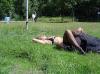 wiese