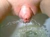 geschwollen, rsiert, gepiercte muschi
