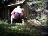 Duke im Wald