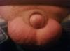 VOLLE EIER