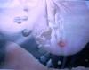 fred und brita 5 fred und brita 5
