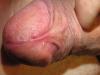 lusttropfen precum 024