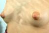 Nippel